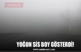 YOĞUN SİS BOY GÖSTERDİ!