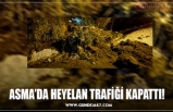 ASMA’DA HEYELAN TRAFİĞİ KAPATTI!