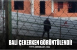 BALİ ÇEKERKEN GÖRÜNTÜLENDİ!