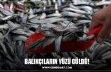 BALIKÇILARIN YÜZÜ GÜLDÜ!