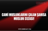 CAMİ MUSLUKLARINI ÇALAN ŞAHISA MUSLUK CEZASI!