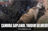 ÇAMURA SAPLANDI, YARDIM GELMEDİ!