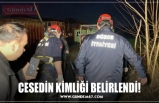 CESEDİN KİMLİĞİ BELİRLENDİ!