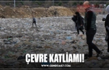 ÇEVRE KATLİAMI!