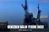 DENİZDEN BALIK YERİNE İNEK!