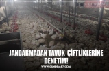 JANDARMADAN TAVUK  ÇİFTLİKLERİNE DENETİM!