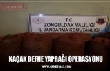 KAÇAK DEFNE YAPRAĞI OPERASYONU