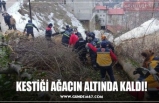 KESTİĞİ AĞACIN ALTINDA KALDI!