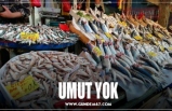 UMUT YOK