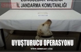 UYUŞTURUCU OPERASYONU