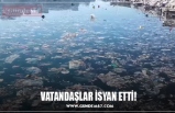 VATANDAŞLAR İSYAN ETTİ!