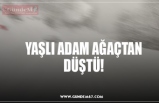 YAŞLI ADAM AĞAÇTAN DÜŞTÜ!