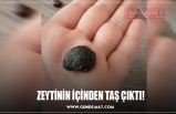 ZEYTİNİN İÇİNDEN TAŞ ÇIKTI!