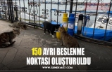 150 AYRI BESLENME  NOKTASI OLUŞTURULDU