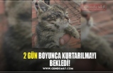 2 GÜN BOYUNCA KURTARILMAYI BEKLEDİ!