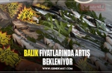 BALIK FİYATLARINDA ARTIŞ  BEKLENİYOR