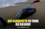 BATI KARADENİZ’DE 80 YUNUS ÖLÜ BULUNDU!