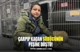 ÇARPIP KAÇAN SÜRÜCÜNÜN PEŞİNE DÜŞTÜ!