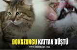 DOKUZUNCU KATTAN DÜŞTÜ