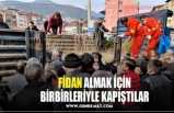 FİDAN ALMAK İÇİN BİRBİRLERİYLE KAPIŞTILAR