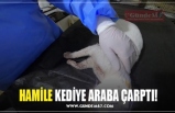 HAMİLE KEDİYE ARABA ÇARPTI!