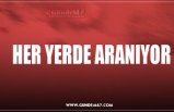 HER YERDE ARANIYOR