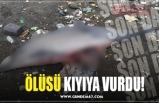 ÖLÜSÜ KIYIYA VURDU!