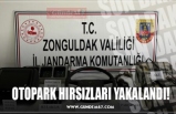 OTOPARK HIRSIZLARI YAKALANDI!