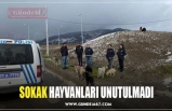 SOKAK HAYVANLARI UNUTULMADI