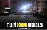 TİLKİYİ DÖNERLE BESLEDİLER