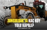 ZONGULDAK’TA KAÇ KÖY  YOLU KAPALI?