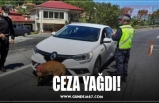 CEZA YAĞDI!