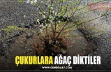 ÇUKURLARA AĞAÇ DİKTİLER