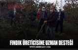 FINDIK ÜRETİCİSİNE UZMAN DESTEĞİ