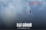 İLGİ GÖRDÜ