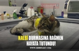 KALBİ DURMASINA RAĞMEN  HAYATA TUTUNDU!