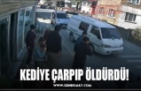 KEDİYE ÇARPIP ÖLDÜRDÜ!