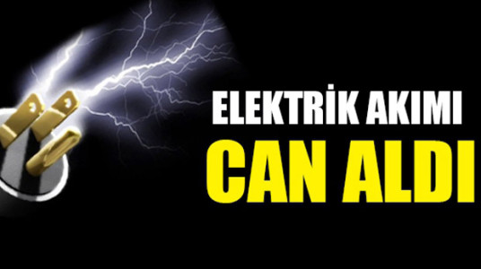 Elektrik Akımı Can Aldı