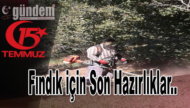 Fındık için son hazırlıklar...