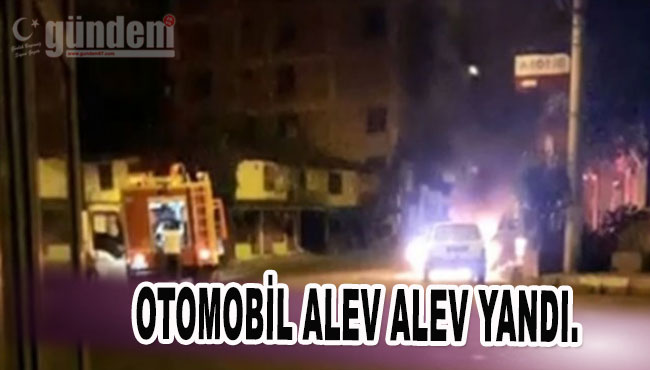 Zonguldak'ta Otomobil alev alev yandı.