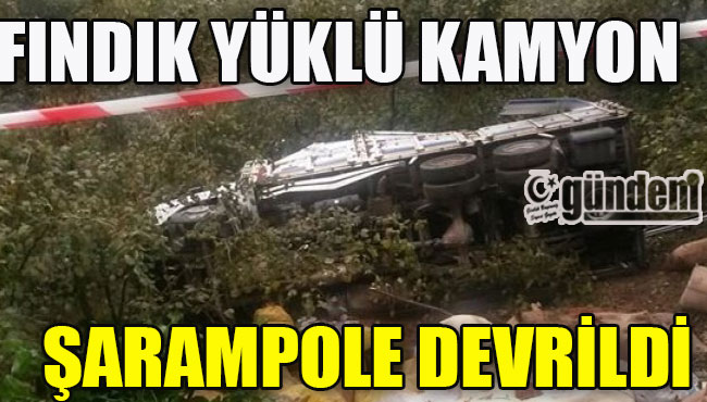 Fındık yüklü kamyon şarampole devrildi