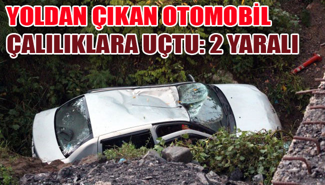 YOLDAN ÇIKAN OTOMOBİL ÇALILIKLARA UÇTU: 2 YARALI