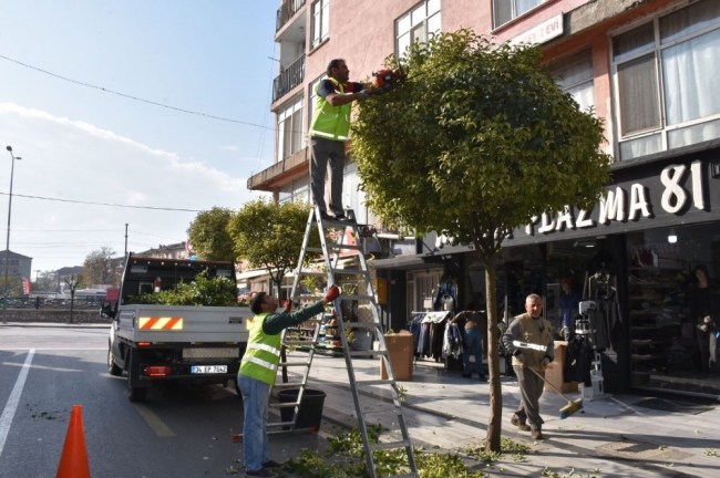 Düzce'de Periyodik bakım çalışmaları