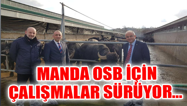 MANDA OSB için çalışmalar sürüyor...