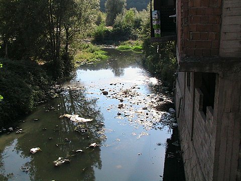 ÇEVRECİLER ÇAY İÇİN EYLEM YAPTI