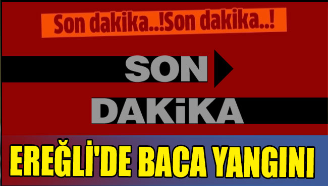 EREĞLİ'DE BACA YANGINI