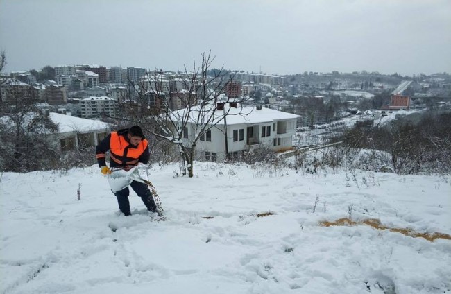 Sokak hayvanları için yiyecek bırakıldı...