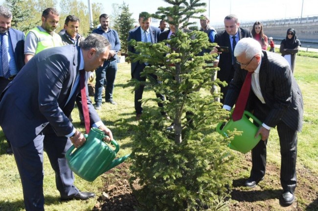 Başkan Ay fidan dikti