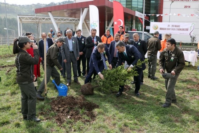 Hastane bahçesine fidan dikildi