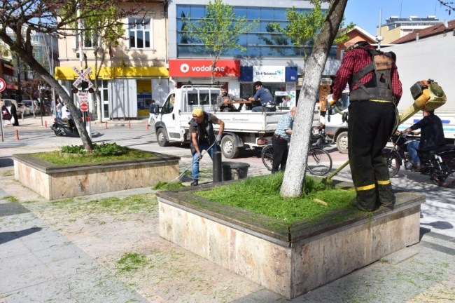 Düzce'de park ve bahçeler bakıma alındı